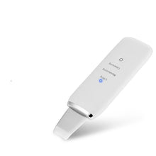 Load image into Gallery viewer, Professional Ultrasonic Skin Scrubber Ion Deep Face Cleaning Peeling USB Rechargeable Facial Care Device Beauty Instrument
