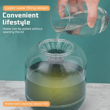 Load image into Gallery viewer, Humidifiers Diffusers Essential Oils Air Humidifier With LED Night Light USB Rechargeable Portable For Home Office