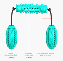 Load image into Gallery viewer, Dog Chew Toys Pet Toothbrush Rubber Bones Teeth Cleaning