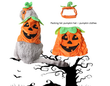 Load image into Gallery viewer, Halloween Pet Cats Costume Props Creative Pumpkin