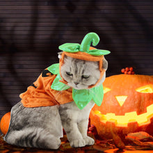 Load image into Gallery viewer, Halloween Pet Cats Costume Props Creative Pumpkin