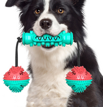 Load image into Gallery viewer, Dog Chew Toys Pet Toothbrush Rubber Bones Teeth Cleaning