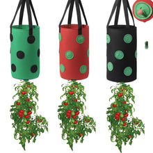 Load image into Gallery viewer, Strawberry Grow Bag Nonwoven Fabric Vertical Jardin Garden