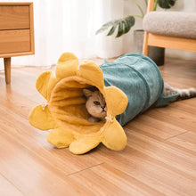 Load image into Gallery viewer, Creative Fruit Funny Pet Cat Tunnel Toys