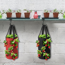 Load image into Gallery viewer, Strawberry Grow Bag Nonwoven Fabric Vertical Jardin Garden