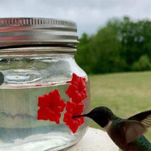 Load image into Gallery viewer, Hummingbird Feeder Plastic Flower Bird Feeder