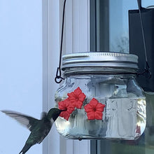 Load image into Gallery viewer, Hummingbird Feeder Plastic Flower Bird Feeder