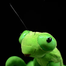 Load image into Gallery viewer, Lifelike Mantis Plush Toys Stuffed Animals Toy For Kids