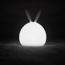 Load image into Gallery viewer, Friendly Soft Silicone USB Eye Care Night Light