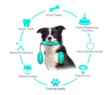 Load image into Gallery viewer, Dog Chew Toys Pet Toothbrush Rubber Bones Teeth Cleaning