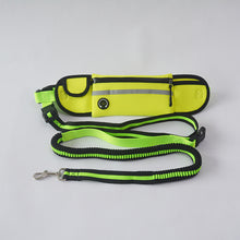 Load image into Gallery viewer, Pet Waist Bag Sports Traction Rope Reflective Waterproof