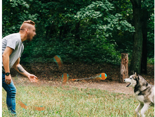 Load image into Gallery viewer, Hand Throwing Ball ABS Dog Chew Training Ball