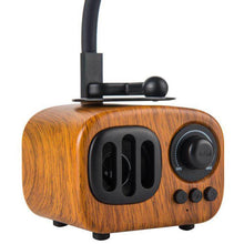 Load image into Gallery viewer, Gramophone Small Speaker