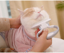 Load image into Gallery viewer, Cats Wool Pet Hair Deshedding Brush Set Comb