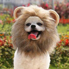 Load image into Gallery viewer, Christmas Funny Hat Cap Pet Dress Simulation Toy Halloween Party
