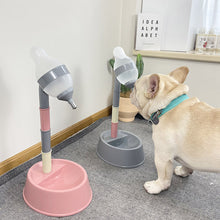 Load image into Gallery viewer, Automatic Pet Water Dispenser Stand Feeder Bowl Adjusting Height