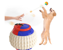 Load image into Gallery viewer, Hand Throwing Ball ABS Dog Chew Training Ball