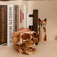 Load image into Gallery viewer, Skull Crystal Salt Lamp USB Dimmable