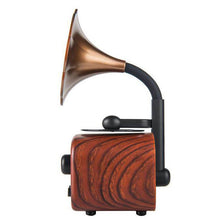 Load image into Gallery viewer, Gramophone Small Speaker