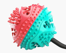 Load image into Gallery viewer, Dog Chew Toys Pet Toothbrush Rubber Bones Teeth Cleaning