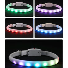 Load image into Gallery viewer, USB Rechargeable Pet Dog LED Glowing Collar