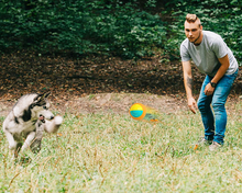 Load image into Gallery viewer, Hand Throwing Ball ABS Dog Chew Training Ball