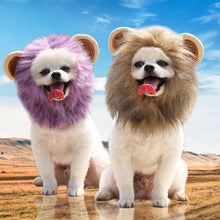 Load image into Gallery viewer, Christmas Funny Hat Cap Pet Dress Simulation Toy Halloween Party