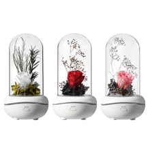 Load image into Gallery viewer, Colorful Led Night Light Eternal Rose Flower Decoration