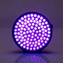 Load image into Gallery viewer, UV Flashlight 100 LEDs 395 Nm UV Detector Light For Dog Cat