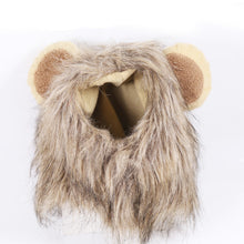 Load image into Gallery viewer, Christmas Funny Hat Cap Pet Dress Simulation Toy Halloween Party