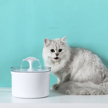 Load image into Gallery viewer, Pet Dog Cat Water Fountain Electric Automatic Water Feeder