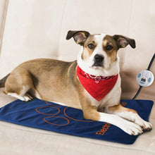 Load image into Gallery viewer, 45×60cm Pet Electric Heating Pad Blanket Pet Dog Cat Winter Warmer Pad Waterproof Adjustable Temperature Dog Mats
