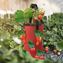 Load image into Gallery viewer, Strawberry Grow Bag Hanging Plant Bag 12 Multi Port Impermeable Strawberry Vanilla Tree Planting Bag Gardening Seedlings Growing
