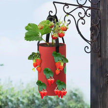 Load image into Gallery viewer, Strawberry Grow Bag Hanging Plant Bag 12 Multi Port Impermeable Strawberry Vanilla Tree Planting Bag Gardening Seedlings Growing
