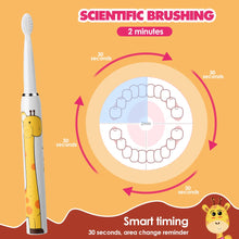 Load image into Gallery viewer, Child Toothbrush Children Sonic Electric Tooth Brush Children's Teeth Cleaning Kids Toothbrushes for Children Cartoon with Heads
