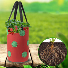 Load image into Gallery viewer, Handbags Hanging Strawberry Growing Hanging Aeration Planter Bag Suitable for Strawberry Tomato Vegetable Garden Supplies
