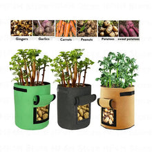 Load image into Gallery viewer, Potato Plant Grow Bags Nonwoven Fabric Pot Greenhouse Vegetable Growing Moisturizing Home Garden Tools
