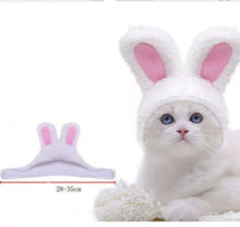 Load image into Gallery viewer, Christmas Funny Hat Cap Pet Dress Simulation Toy Halloween Party
