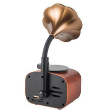 Load image into Gallery viewer, Gramophone Small Speaker
