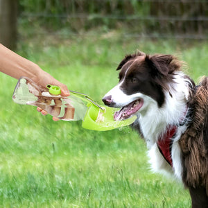 Portable Pet Water Dispenser Feeder Leak Proof