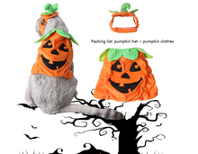 Load image into Gallery viewer, Halloween Pet Cats Costume Props Creative Pumpkin
