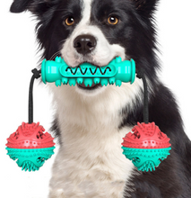 Load image into Gallery viewer, Dog Chew Toys Pet Toothbrush Rubber Bones Teeth Cleaning
