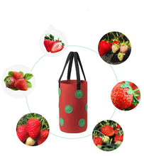 Load image into Gallery viewer, Strawberry Grow Bag Nonwoven Fabric Vertical Jardin Garden
