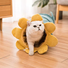Load image into Gallery viewer, Creative Fruit Funny Pet Cat Tunnel Toys
