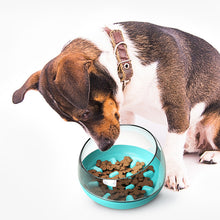 Load image into Gallery viewer, Space Capsule Dog Bowl Slow Food Bowl Tumbler Cat Bowl
