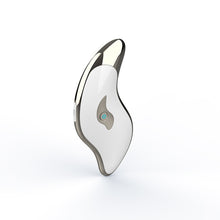Load image into Gallery viewer, Household Facial Heating And Face-lifting Device
