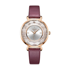 Load image into Gallery viewer, Popular Fashion Waterproof Ladies Quartz Watch
