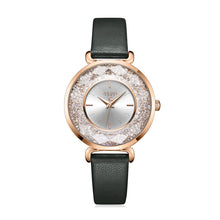 Load image into Gallery viewer, Popular Fashion Waterproof Ladies Quartz Watch
