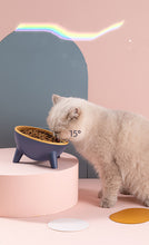 Load image into Gallery viewer, Cat Dog Bowl With Stand Pet Feeding Food Bowls
