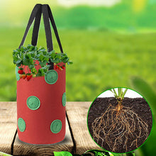 Load image into Gallery viewer, Strawberry Grow Bag Nonwoven Fabric Vertical Jardin Garden
